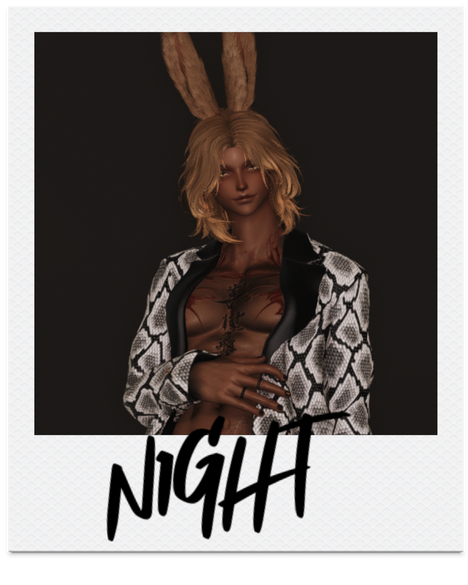 Night