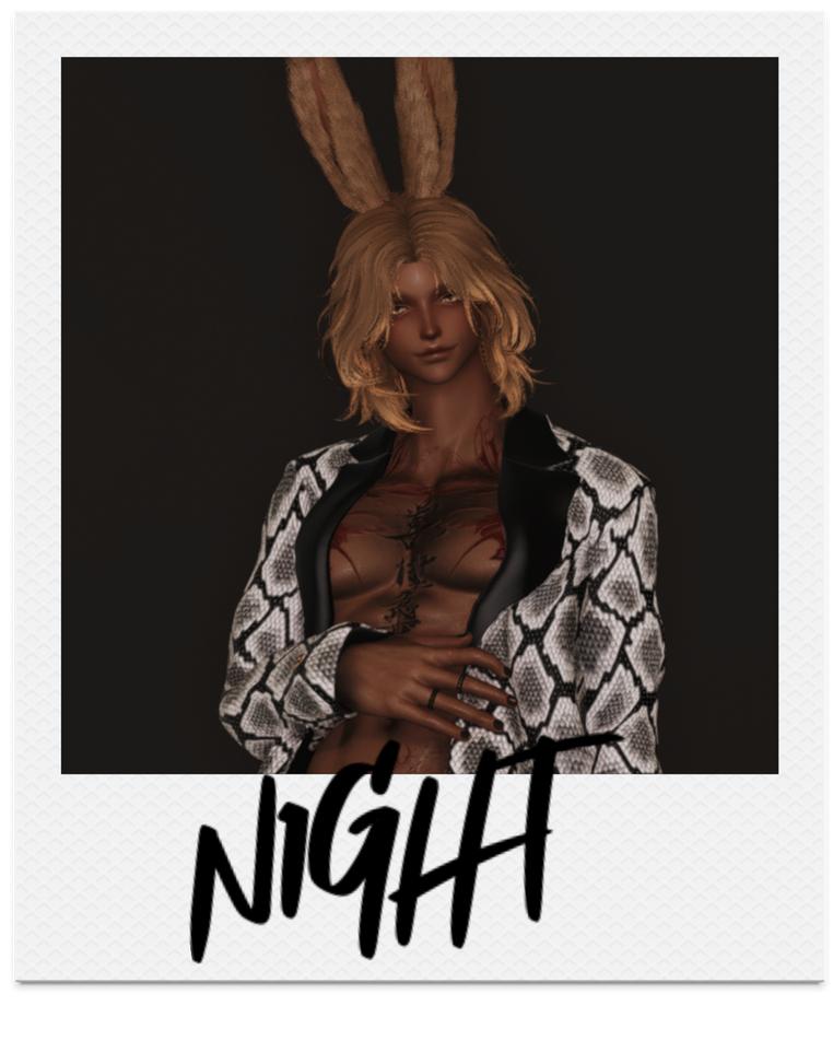 Night